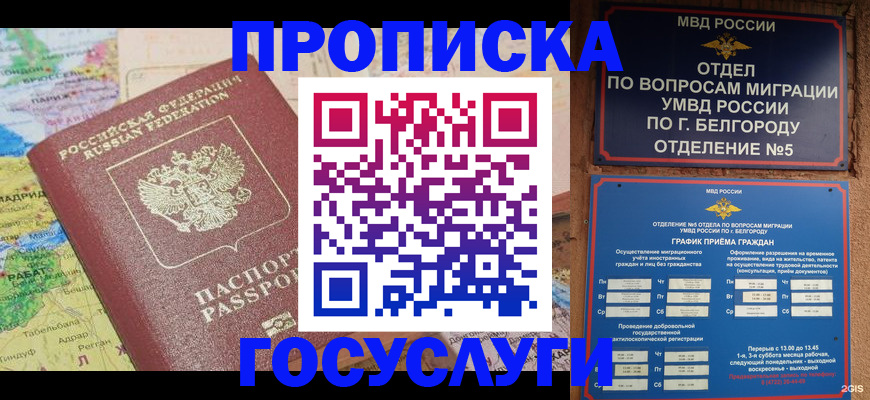 прописка регистрация в Ярославле